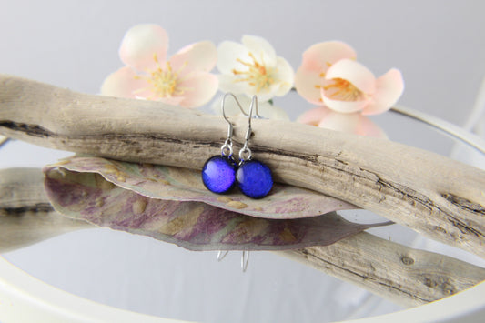 Smooth Blue Fused Glass Earrings Drops