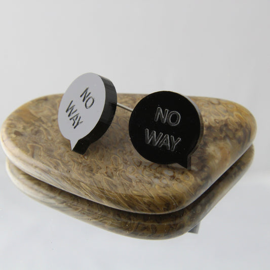 Naughty Stud Earrings - Only look if you like sweary studs!